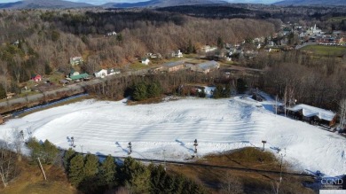 Calling all Developers, Builders & Investors who have been on Windham Country Club in New York - for sale on GolfHomes.com, golf home, golf lot