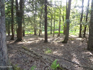 BUILD YOUR LAKE HOME ON THIS GREAT LOT IN TANGLWOOD LAKES! LAKE on Paupack Hills Golf and Country Club in Pennsylvania - for sale on GolfHomes.com, golf home, golf lot