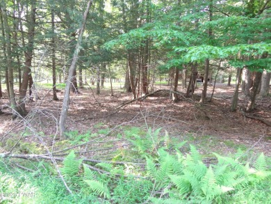 BUILD YOUR LAKE HOME ON THIS GREAT LOT IN TANGLWOOD LAKES! LAKE on Paupack Hills Golf and Country Club in Pennsylvania - for sale on GolfHomes.com, golf home, golf lot