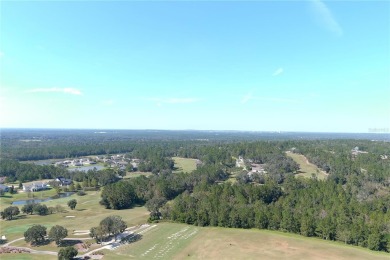 Welcome to your dream home in the beautiful Southern Hills on Southern Hills Plantation Club in Florida - for sale on GolfHomes.com, golf home, golf lot