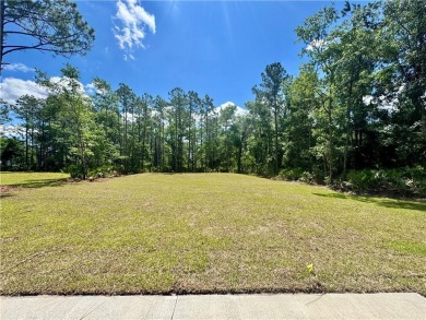 Quality New Construction by Local Builder Josselyn Homes! on The Golf Club At Sanctuary Cove in Georgia - for sale on GolfHomes.com, golf home, golf lot