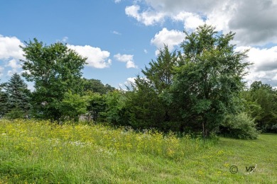 Homesite lot for Sale, Apple Canyon Lake, Apple River, IL 61001 on Apple Canyon Lake Golf Course in Illinois - for sale on GolfHomes.com, golf home, golf lot