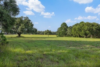Tucked away just outside of New Ulm, this beautiful 8.703-acre on The Falls Resort and Club in Texas - for sale on GolfHomes.com, golf home, golf lot
