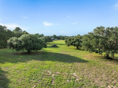Tucked away just outside of New Ulm, this beautiful 8.703-acre on The Falls Resort and Club in Texas - for sale on GolfHomes.com, golf home, golf lot