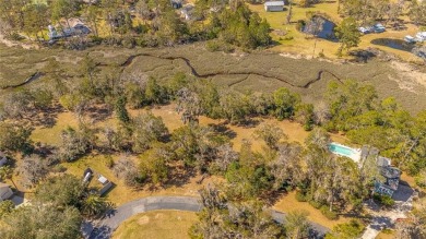 Welcome to your own slice of Lowcountry paradise! Nestled in the on Sapelo Hammock Golf Club in Georgia - for sale on GolfHomes.com, golf home, golf lot