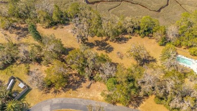 Welcome to your own slice of Lowcountry paradise! Nestled in the on Sapelo Hammock Golf Club in Georgia - for sale on GolfHomes.com, golf home, golf lot