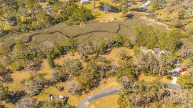 Welcome to your own slice of Lowcountry paradise! Nestled in the on Sapelo Hammock Golf Club in Georgia - for sale on GolfHomes.com, golf home, golf lot