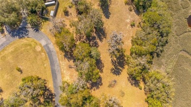 Welcome to your own slice of Lowcountry paradise! Nestled in the on Sapelo Hammock Golf Club in Georgia - for sale on GolfHomes.com, golf home, golf lot