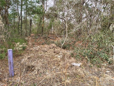 Build your Florida dream home on this vacant residential lot on Citrus Springs Country Club in Florida - for sale on GolfHomes.com, golf home, golf lot
