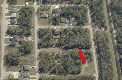 Don't miss one of the most affordable buildable lots in the on Mirror Lakes Golf Club in Florida - for sale on GolfHomes.com, golf home, golf lot