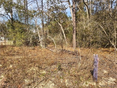 Great opportunity to own a vacant residential lot at 211 W on Citrus Springs Country Club in Florida - for sale on GolfHomes.com, golf home, golf lot