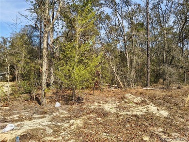 Great opportunity to own a vacant residential lot at 211 W on Citrus Springs Country Club in Florida - for sale on GolfHomes.com, golf home, golf lot