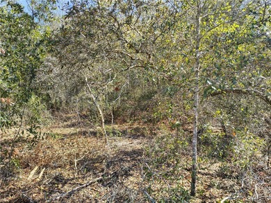 High-visibility vacant residential lot located at 8867 N Citrus on Pine Ridge Community Golf and Country Club in Florida - for sale on GolfHomes.com, golf home, golf lot