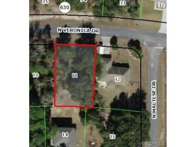 This vacant residential lot is in the established community of on Pine Ridge Community Golf and Country Club in Florida - for sale on GolfHomes.com, golf home, golf lot