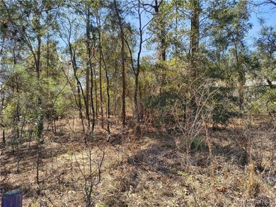 This vacant residential lot is in the established community of on Pine Ridge Community Golf and Country Club in Florida - for sale on GolfHomes.com, golf home, golf lot