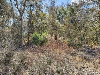 Don't miss this opportunity to own a vacant residential lot in on Pine Ridge Community Golf and Country Club in Florida - for sale on GolfHomes.com, golf home, golf lot