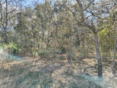 Don't miss this opportunity to own a vacant residential lot in on Pine Ridge Community Golf and Country Club in Florida - for sale on GolfHomes.com, golf home, golf lot