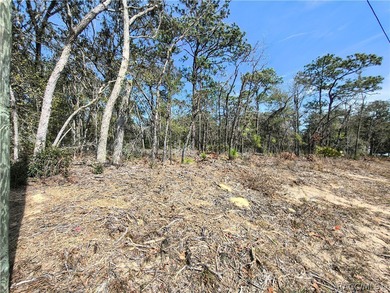 Don't miss this opportunity to own a vacant residential lot in on Citrus Springs Country Club in Florida - for sale on GolfHomes.com, golf home, golf lot