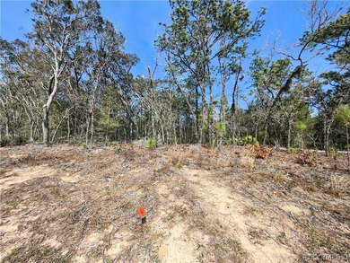 Don't miss this opportunity to own a vacant residential lot in on Citrus Springs Country Club in Florida - for sale on GolfHomes.com, golf home, golf lot