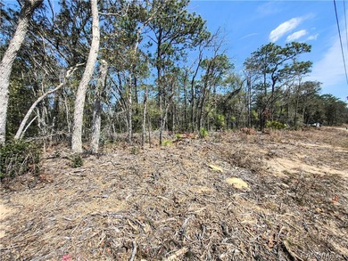 Don't miss this opportunity to own a vacant residential lot in on Citrus Springs Country Club in Florida - for sale on GolfHomes.com, golf home, golf lot