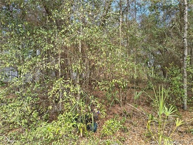 Great opportunity to own a vacant residential lot in the on Citrus Springs Country Club in Florida - for sale on GolfHomes.com, golf home, golf lot