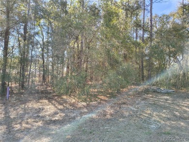 Great opportunity to own a vacant residential lot in the on Citrus Springs Country Club in Florida - for sale on GolfHomes.com, golf home, golf lot
