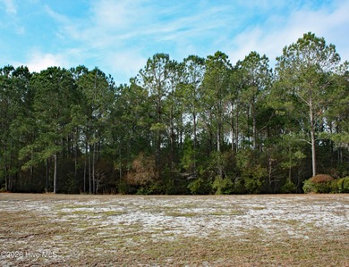 Looking for a quiet, low traffic street with privacy behind your on Ocean Ridge Plantation in North Carolina - for sale on GolfHomes.com, golf home, golf lot