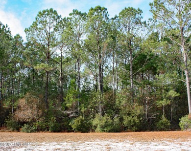 Looking for a quiet, low traffic street with privacy behind your on Ocean Ridge Plantation in North Carolina - for sale on GolfHomes.com, golf home, golf lot