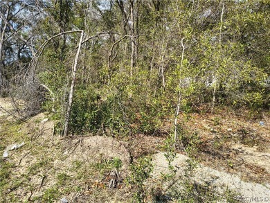 Prime opportunity to own a vacant residential lot in the on Citrus Springs Country Club in Florida - for sale on GolfHomes.com, golf home, golf lot