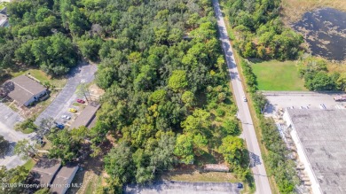 Wow! This fantastic lot boasts an array of enticing features: no on Heritage Pines Country Club in Florida - for sale on GolfHomes.com, golf home, golf lot