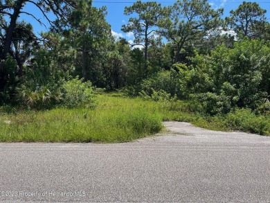 Wow! This fantastic lot boasts an array of enticing features: no on Heritage Pines Country Club in Florida - for sale on GolfHomes.com, golf home, golf lot