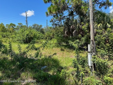 Wow! This fantastic lot boasts an array of enticing features: no on Heritage Pines Country Club in Florida - for sale on GolfHomes.com, golf home, golf lot