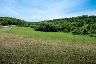 Homesite lot for Sale in Galena, IL 61036.Land for sale at 29 on Eagle Ridge Inn and Resort in Illinois - for sale on GolfHomes.com, golf home, golf lot