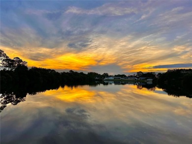 One or more photo(s) has been virtually staged. **NO FLOODING OR on Mangrove Bay Golf Course in Florida - for sale on GolfHomes.com, golf home, golf lot