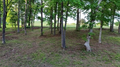 Golf Lovers here is 2 Beautiful Lots in Butler County in Hidden on Hidden Valley Golf Course in Kentucky - for sale on GolfHomes.com, golf home, golf lot