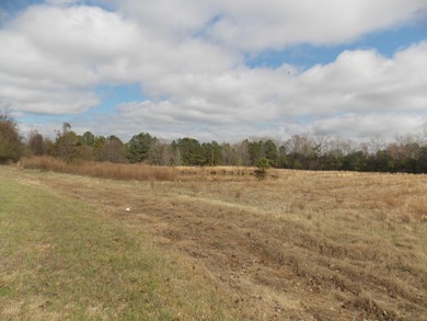 OVER 14 ACRES IN A GREAT LOCATION WITH A VERY NICE UPDATED BRICK on Rocky Branch Golf Club in Georgia - for sale on GolfHomes.com, golf home, golf lot
