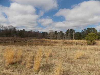 OVER 14 ACRES IN A GREAT LOCATION WITH A VERY NICE UPDATED BRICK on Rocky Branch Golf Club in Georgia - for sale on GolfHomes.com, golf home, golf lot