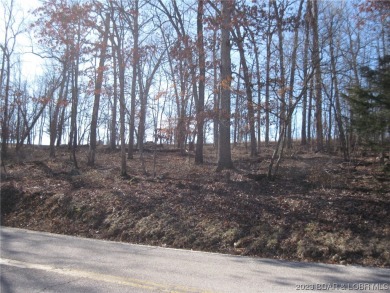 This large lot (lots 42 & 43 combined gives you 247 feet of golf on The Cove Course At the Lodge of the Four Seasons in Missouri - for sale on GolfHomes.com, golf home, golf lot