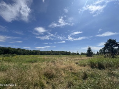 Need a lot of space? We got you covered here at 152 Boulder on The Hideout Golf in Pennsylvania - for sale on GolfHomes.com, golf home, golf lot