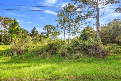 Wedgefield Opportunity! Nearly 5 acres of land--cleared and on Wedgefield Golf Club in Florida - for sale on GolfHomes.com, golf home, golf lot