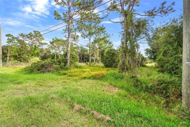 Wedgefield Opportunity! Nearly 5 acres of land--cleared and on Wedgefield Golf Club in Florida - for sale on GolfHomes.com, golf home, golf lot