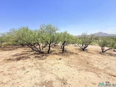 Build your dream house on this .235 acre lot that has beautiful on Sierra Del Rio Golf Club in New Mexico - for sale on GolfHomes.com, golf home, golf lot
