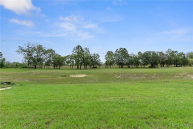One or more photo(s) has been virtually staged. Brand New Luxury on Sugarmill Woods Golf and Country Club in Florida - for sale on GolfHomes.com, golf home, golf lot