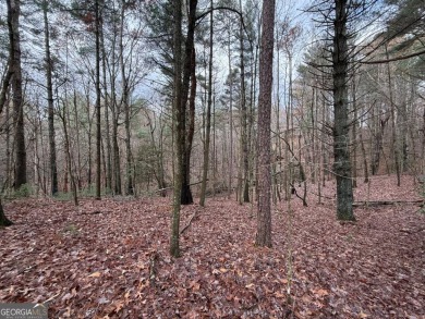 Beautiful and nice-laying lot located in the upscale community on White Path Golf Club in Georgia - for sale on GolfHomes.com, golf home, golf lot