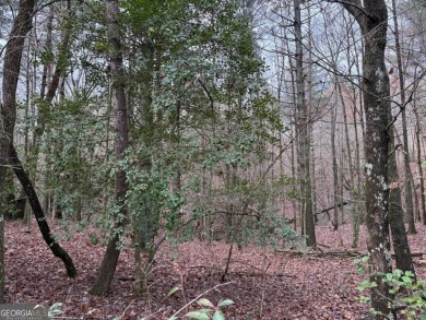 Beautiful and nice-laying lot located in the upscale community on White Path Golf Club in Georgia - for sale on GolfHomes.com, golf home, golf lot