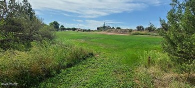 Build your dream home on the fairway.  Beautiful views of the on Snowflake Municipal Golf Course in Arizona - for sale on GolfHomes.com, golf home, golf lot