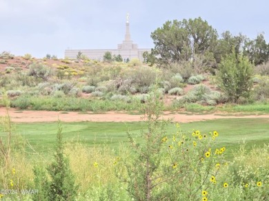 Build your dream home on the fairway.  Beautiful views of the on Snowflake Municipal Golf Course in Arizona - for sale on GolfHomes.com, golf home, golf lot