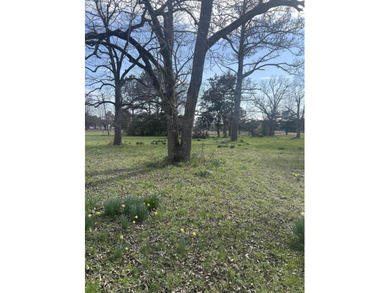 Discover the potential of this 3.17-acre property tucked away on Rocky Branch Golf Club in Georgia - for sale on GolfHomes.com, golf home, golf lot