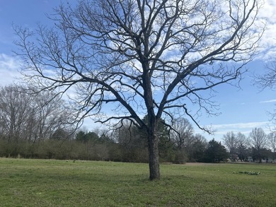 Discover the potential of this 3.17-acre property tucked away on Rocky Branch Golf Club in Georgia - for sale on GolfHomes.com, golf home, golf lot