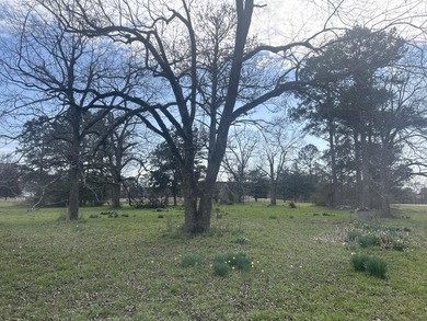 Discover the potential of this 3.17-acre property tucked away on Rocky Branch Golf Club in Georgia - for sale on GolfHomes.com, golf home, golf lot